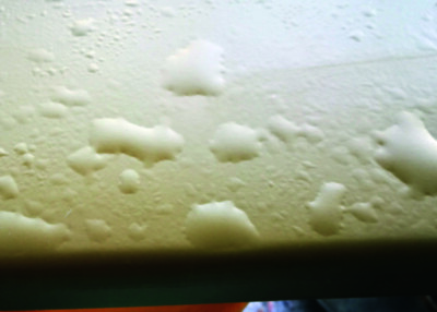 Die Delamination trat zwischen Grundierung und Decklack auf.(Quelle DFO)