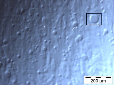 Bild 1: Oberflächenstörung eines 2K-PU Lackes (lichtmikroskopische Aufnahme DSC) Quelle: Dr. Roger Dietrich SysProCon